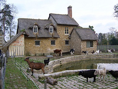 click for enlarge 800 X 600 177,3 Kb picture