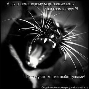 click for enlarge 500 X 500 34,6 Kb picture