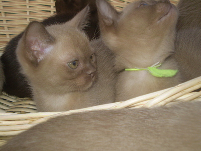 click for enlarge 640 X 480 153,9 Kb picture