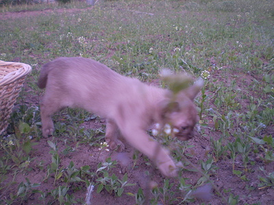 click for enlarge 640 X 480 165,6 Kb picture