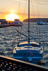 click for enlarge 683 X 1024 313,9 Kb picture
