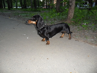 click for enlarge 1024 X 768 419,3 Kb picture