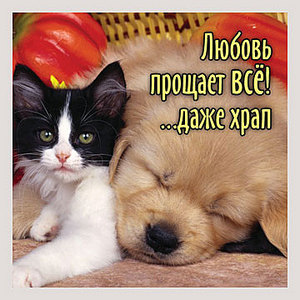 click for enlarge 360 X 360  36,2 Kb picture