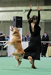 click for enlarge 412 X 600  38,3 Kb picture