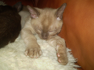 click for enlarge 640 X 480 166,9 Kb picture
