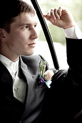 click for enlarge 1584 X 2376 227,8 Kb picture