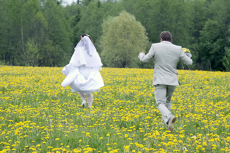 click for enlarge 1023 X 682 384,6 Kb picture