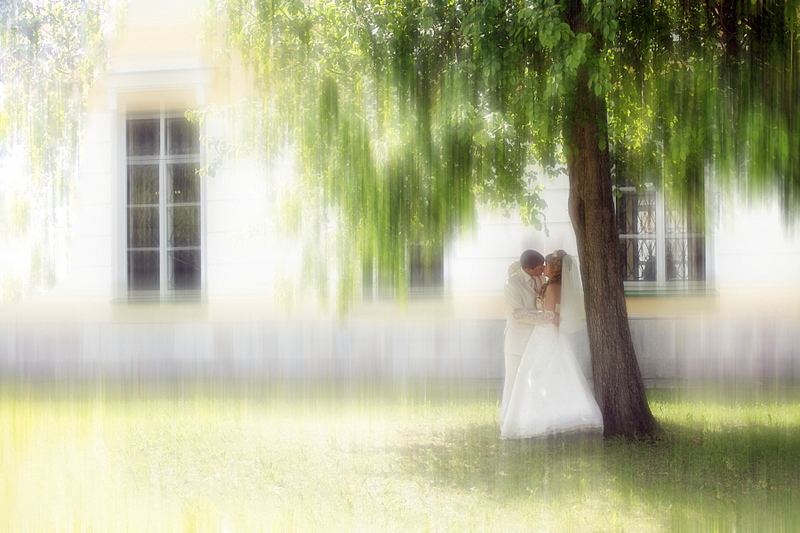 click for enlarge 900 X 600 508,3 Kb picture