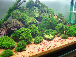 click for enlarge 1920 X 1440 953,6 Kb picture