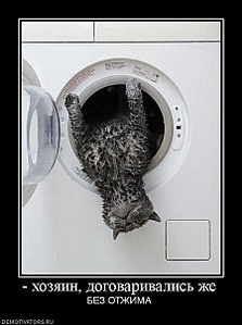 click for enlarge 449 X 604  55,9 Kb picture