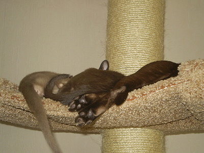 click for enlarge 640 X 480 152,8 Kb picture