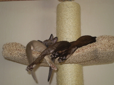 click for enlarge 640 X 480 153,7 Kb picture
