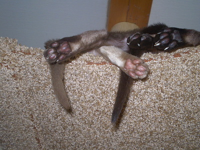click for enlarge 640 X 480 166,7 Kb picture