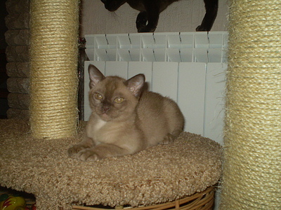 click for enlarge 640 X 480 167,5 Kb picture