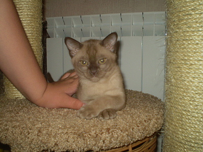 click for enlarge 640 X 480 162,8 Kb picture