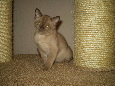 click for enlarge 640 X 480 168,6 Kb picture
