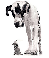 click for enlarge 418 X 500 38,5 Kb picture