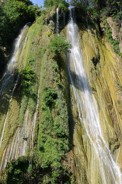 click for enlarge 530 X 800 221,6 Kb picture