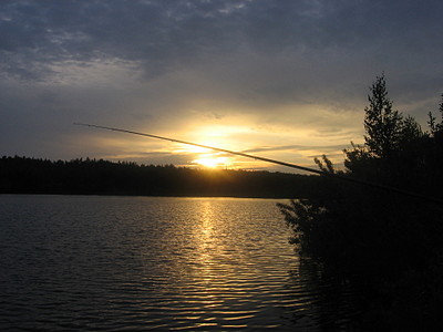 click for enlarge 1920 X 1440 450,7 Kb picture