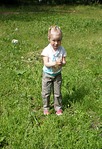click for enlarge 1705 X 2496 580,0 Kb picture