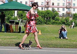 click for enlarge 640 X 451 108,2 Kb picture