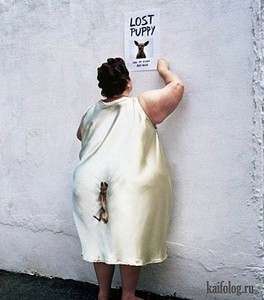 click for enlarge 480 X 545 51,9 Kb picture