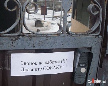 click for enlarge 480 X 381 45,7 Kb picture