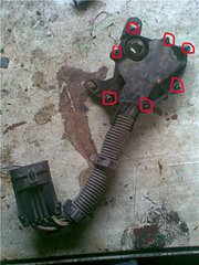 click for enlarge 480 X 640  61,5 Kb picture