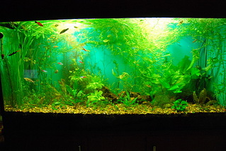 click for enlarge 600 X 402 148,1 Kb picture