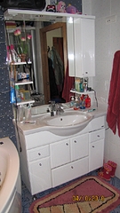 click for enlarge 450 X 800 280,2 Kb picture
