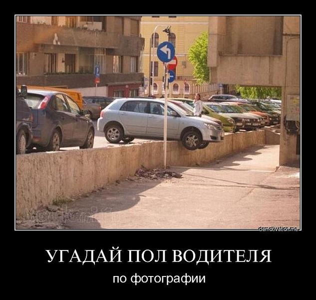 click for enlarge 780 X 739 68,3 Kb picture
