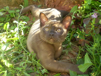 click for enlarge 640 X 480 158,8 Kb picture