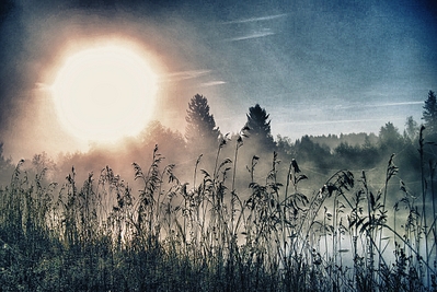 click for enlarge 1280 X 856 852,9 Kb picture