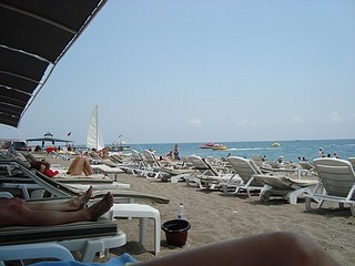 click for enlarge 480 X 360 34,2 Kb picture