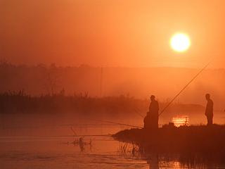 click for enlarge 800 X 600 133,8 Kb picture
