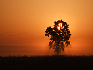 click for enlarge 800 X 600 144,5 Kb picture