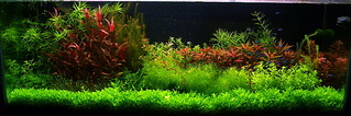 click for enlarge 1126 X 373 245,5 Kb picture