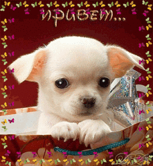 click for enlarge 520 X 564 183,8 Kb picture