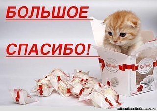 click for enlarge 600 X 426 46,3 Kb picture
