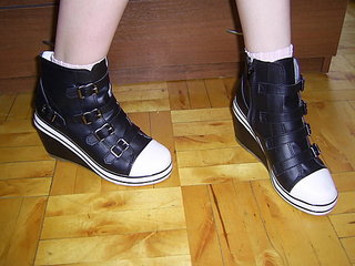 click for enlarge 1024 X 768 107,9 Kb picture