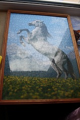 click for enlarge 538 X 807 112,5 Kb picture