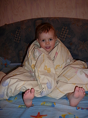 click for enlarge 1920 X 2560 300,9 Kb picture