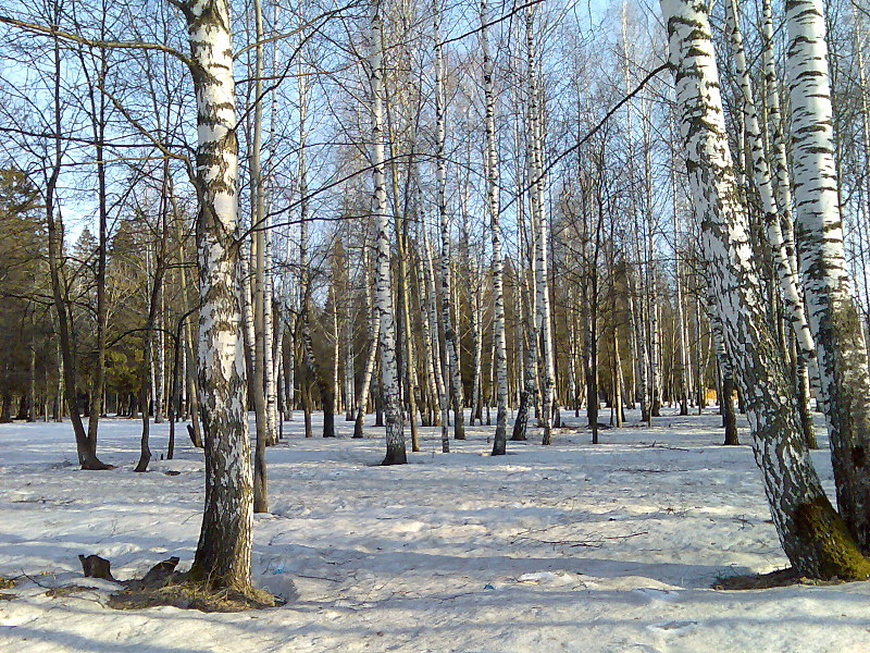 click for enlarge 1600 X 1200 913,3 Kb picture