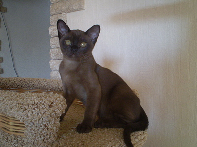 click for enlarge 640 X 480 162,6 Kb picture