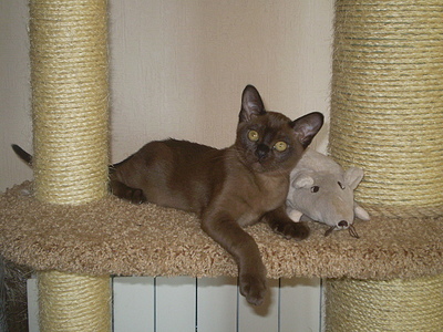 click for enlarge 640 X 480 168,4 Kb picture