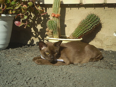 click for enlarge 640 X 480 167,7 Kb picture