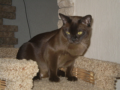 click for enlarge 640 X 480 164,2 Kb picture
