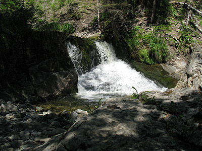 click for enlarge 1000 X 750 237,3 Kb picture