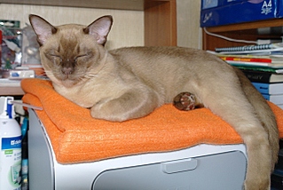 click for enlarge 640 X 429 178,2 Kb picture