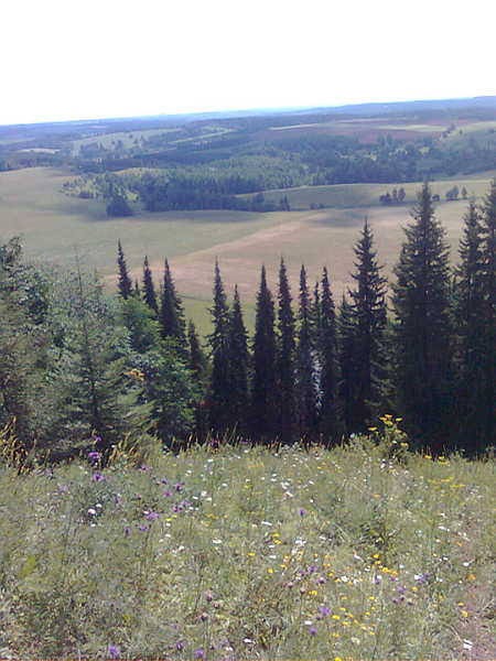 click for enlarge 960 X 1280 121,1 Kb picture
